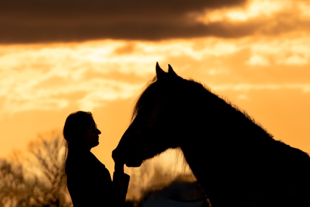 0A8A8802 Modifier Moyenne